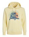 SUDADERA JACK AND JONES WELCOME SUMMER 12249267 