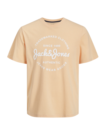 CAMISETA M/C TRADEMARKED CLOTHING JACK AND JONES 12247972 