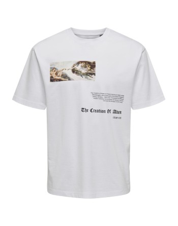 CAMISETA M/C MICHELANGELO 22028207 