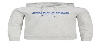 SUDADERA CAPUCHA LOGO JACK AND JONES 12256848 JJALVIS SWEAT HOOD