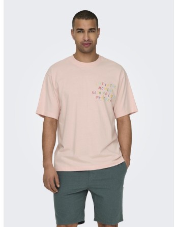 CAMISETA M/C LETRAS COLORINES 22029468 