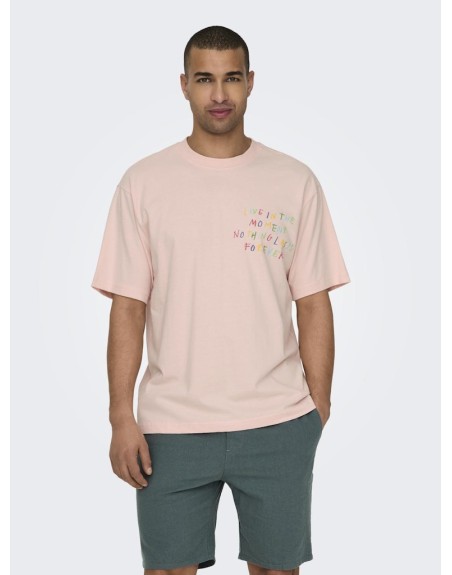 CAMISETA M/C LETRAS COLORINES 22029468 