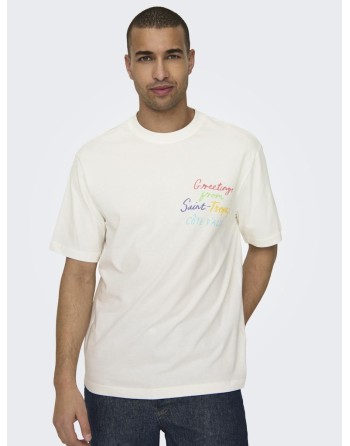 CAMISETA M/C LETRAS COLORINES 22029468 