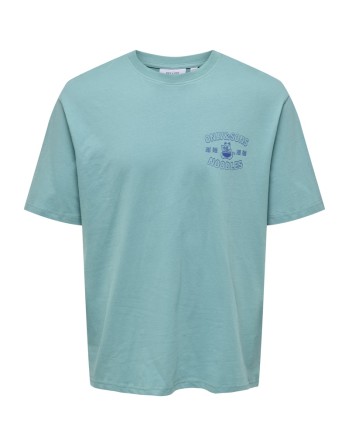CAMISETA M/C ONLY AND SONS NOODLES 22033546 ONSCATISFACTION LOGO RLX SS TEE CS