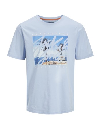 CAMISETA M/C ESSENTIALS JACK AND JONES 12268438 JJCOLTON PHOTOPRINT TEE SS CREW NECK