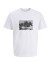 CAMISETA M/C JACK AND JONES PAISAJE PALMERAS 12286117 JCOVERSION TEE SS CREW NECK STYDSS25