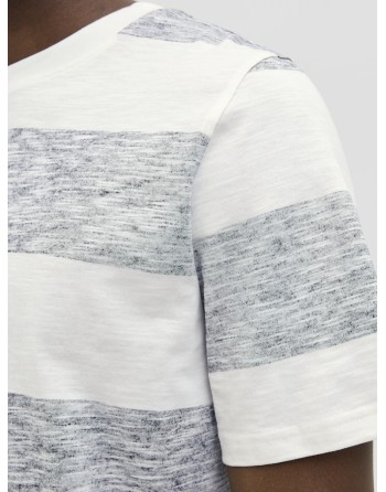 CAMISETA M/C RAYAS DIFUMINADAS 12268437 