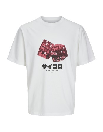 CAMISETA M/C DADOS WORLDWIDE 1990 12269984 JORPLASMA TEE SS CREW NECK STYD