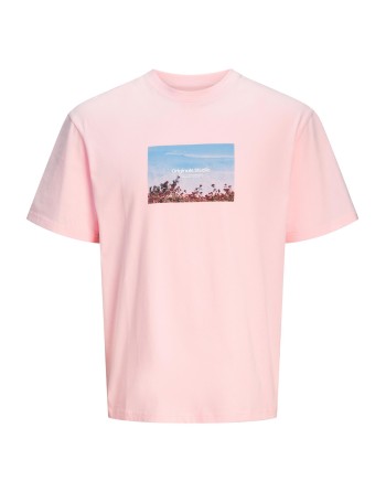 CAMISETA M/C ORIGINALS STUDIO PAISAJE 12250421 JORVESTERBRO PICTURE TEE SS CREW NECK SN