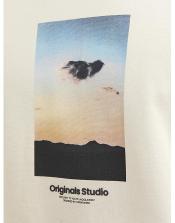 CAMISETA M/C ORIGINALS STUDIO PAISAJE 12250421 JORVESTERBRO PICTURE TEE SS CREW NECK SN
