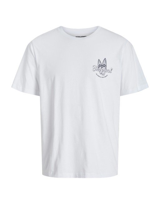 CAMISETA M/C ISLANDS AND HIGH WAVES 12270872 JJRICKY TEE SS CREW NECK LN