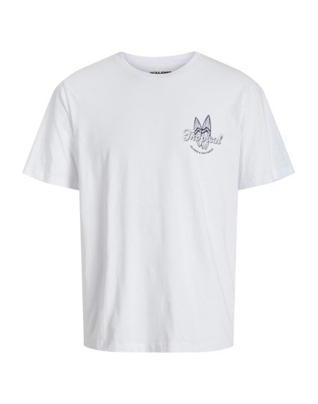 CAMISETA M/C ISLANDS AND HIGH WAVES 12270872 JJRICKY TEE SS CREW NECK LN