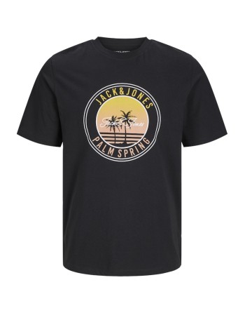 CAMISETA M/C JACK AND JONES PALMERAS 12269418 JJPALM TEE SS CREW NECK LN