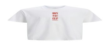 CAMISETA M/C LETRAS CHINAS ORIGINALS WORLDWIDE 12275402 JORSNAKE TEE SS CREW NECK TG LN
