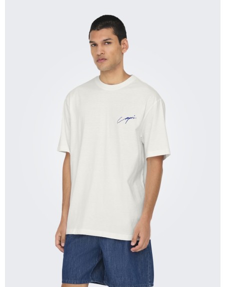 CAMISETA M/C CAPRI CLOU 22034452 ONSMILO SKETCH LIFE RLX COAST SS TEE