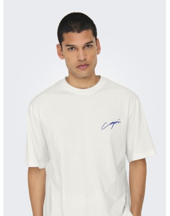 CAMISETA M/C CAPRI CLOU 22034452 ONSMILO SKETCH LIFE RLX COAST SS TEE