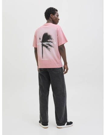 CAMISETA M/C JACK AND JONES 12276731 JCOSAGO PHOTO BACK TEE SS CREW NECK