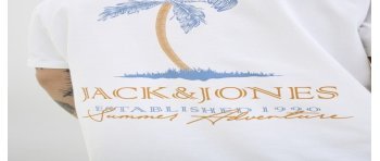 CAMISETA M/C JACK AND JONES ESTABLISHED 1990 12269372 JJSUMMER VIBES TEE SS CREW NECK LN