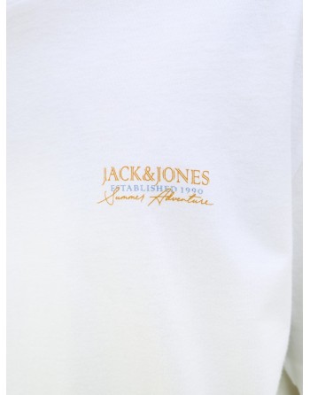 CAMISETA M/C JACK AND JONES ESTABLISHED 1990 12269372 JJSUMMER VIBES TEE SS CREW NECK LN