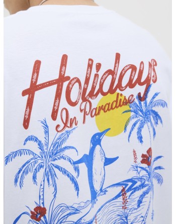 CAMISETA M/C HIDDEN BUNGALOW EXCLUSIVE LIVING 12278389 JORWOWIE TEE SS CREW NECK TG