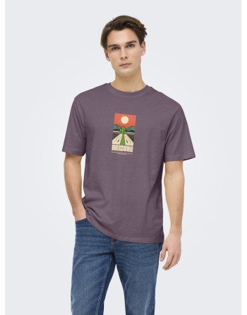 CAMISETA M/C ARIZONA PAISAJE CACTUS 22034330 ONSBEANE RHABA SS RLX TEE
