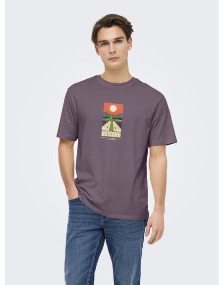 CAMISETA M/C ARIZONA PAISAJE CACTUS 22034330 ONSBEANE RHABA SS RLX TEE