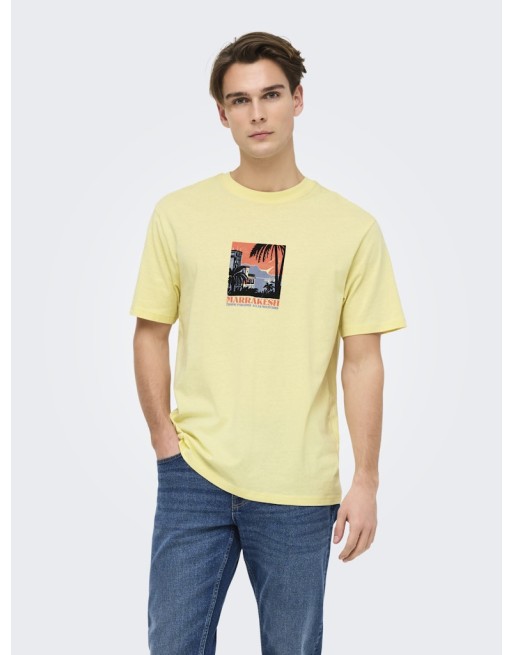 CAMISETA M/C ARIZONA PAISAJE CACTUS 22034330 ONSBEANE RHABA SS RLX TEE