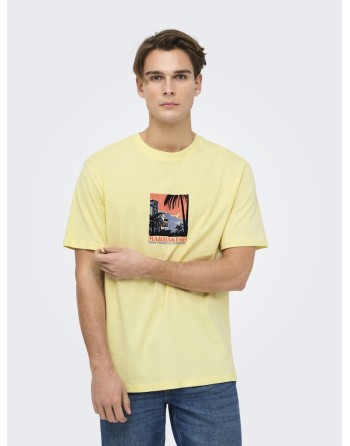 CAMISETA M/C ARIZONA PAISAJE CACTUS 22034330 ONSBEANE RHABA SS RLX TEE