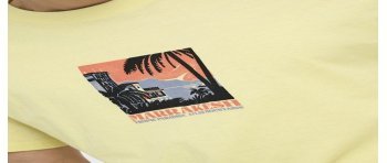 CAMISETA M/C ARIZONA PAISAJE CACTUS 22034330 ONSBEANE RHABA SS RLX TEE