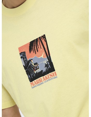 CAMISETA M/C ARIZONA PAISAJE CACTUS 22034330 ONSBEANE RHABA SS RLX TEE