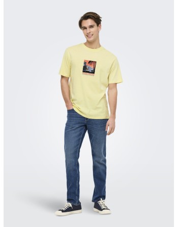 CAMISETA M/C ARIZONA PAISAJE CACTUS 22034330 ONSBEANE RHABA SS RLX TEE