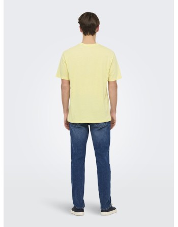 CAMISETA M/C ARIZONA PAISAJE CACTUS 22034330 ONSBEANE RHABA SS RLX TEE