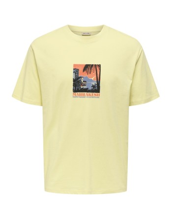 CAMISETA M/C ARIZONA PAISAJE CACTUS 22034330 ONSBEANE RHABA SS RLX TEE