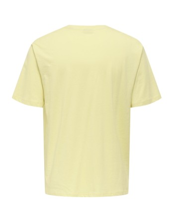 CAMISETA M/C ARIZONA PAISAJE CACTUS 22034330 ONSBEANE RHABA SS RLX TEE
